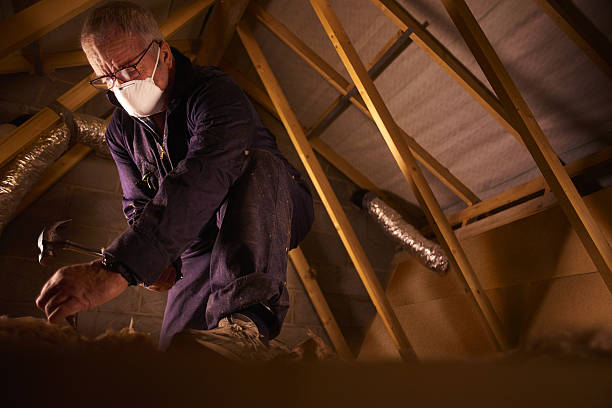 Best Insulation Maintenance and Repair in Fayetteville, TN